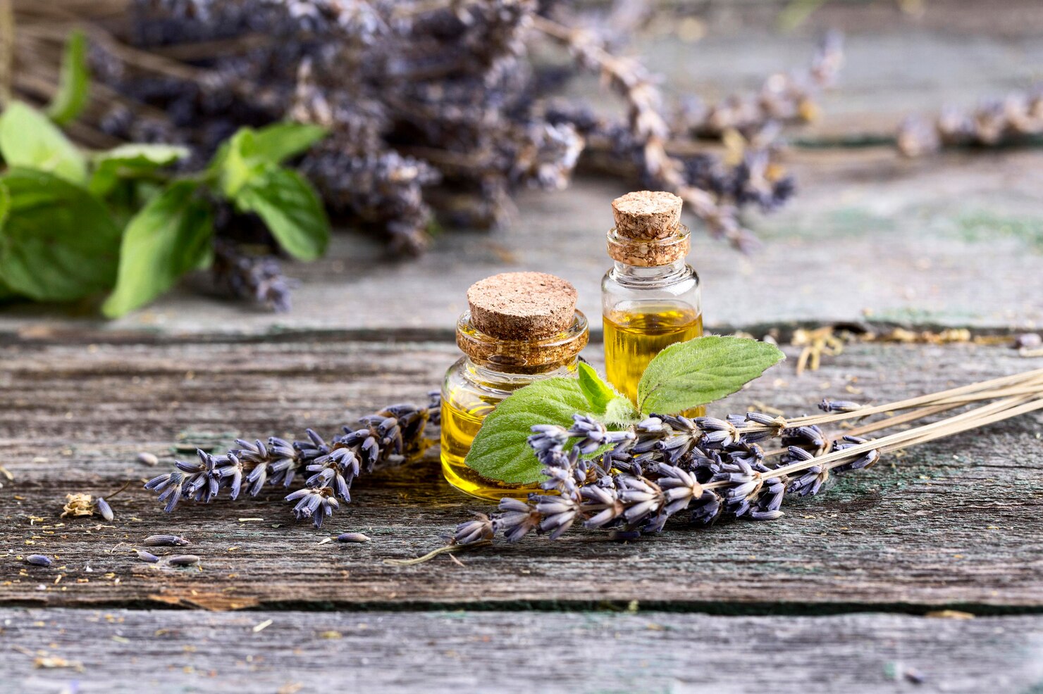 lavender oil